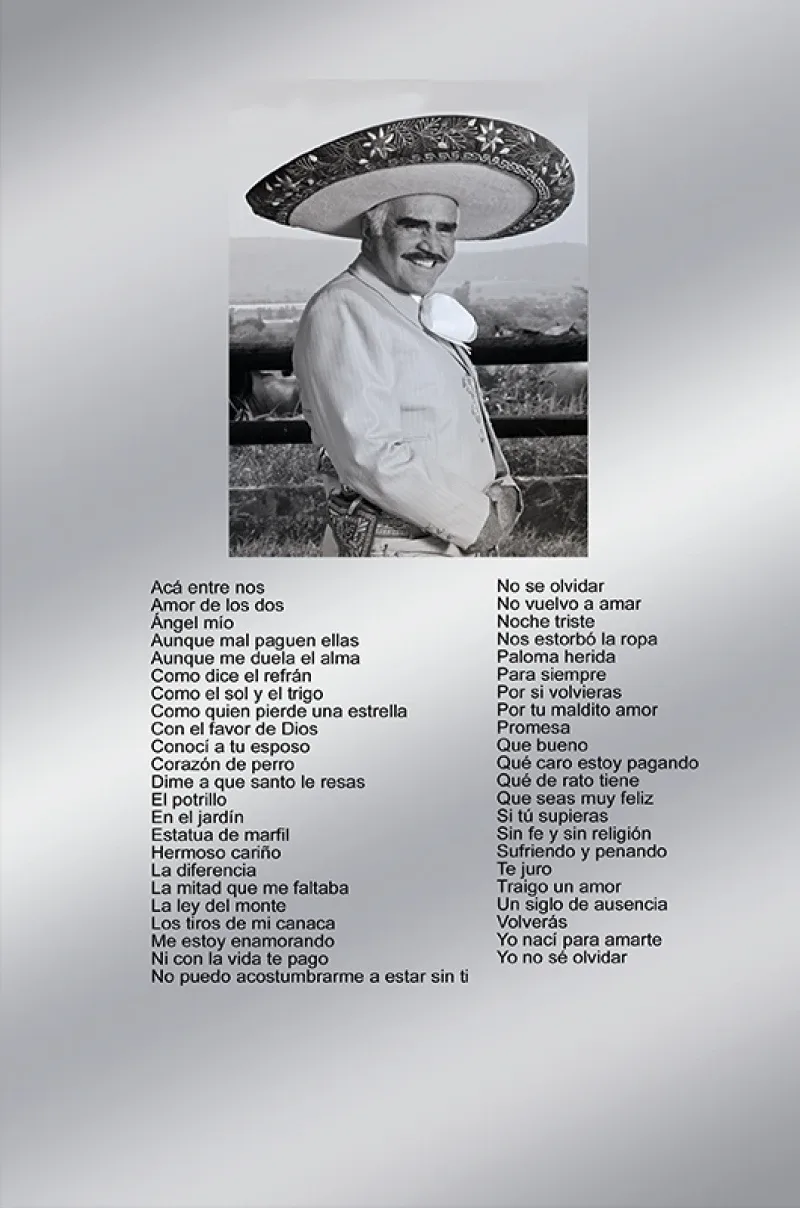 Álbum de Oro - No.244 - Vicente y Alejandro Fernández